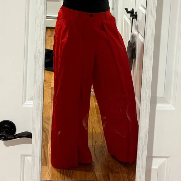 Gray Wide Leg Pants with Pleated Front - Picture 15 of 15